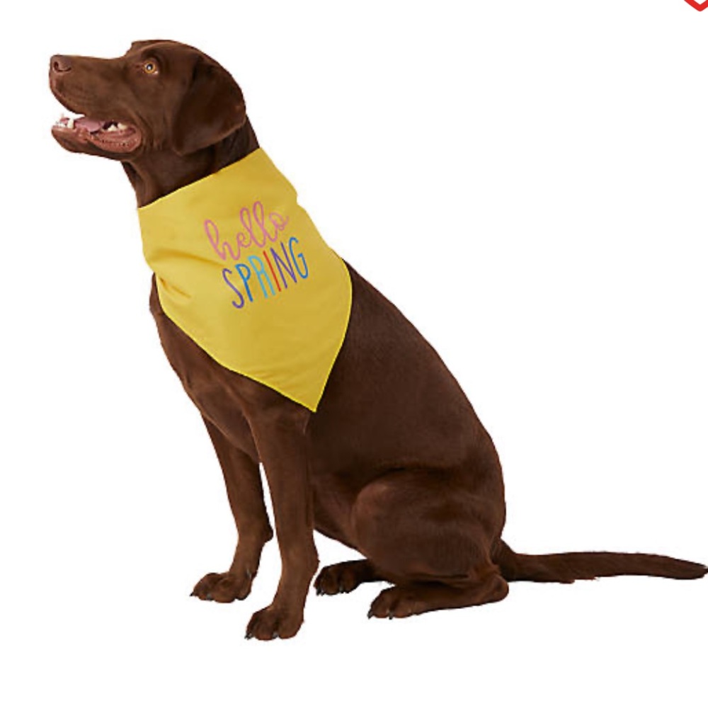 NWT New Top Paw Hello Spring Reversible Pet Dog Bandana Dog Large/X-Large